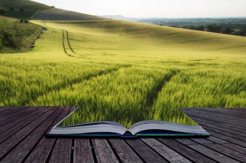 A photo-illustration of an open book morphing into a landscape of grass and trees