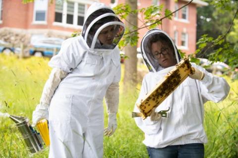 Two people in white beekeeper’s safety outfits confer over a hive.