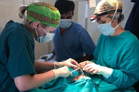 wo veterinary surgeons working on a patient, as a technician looks on.