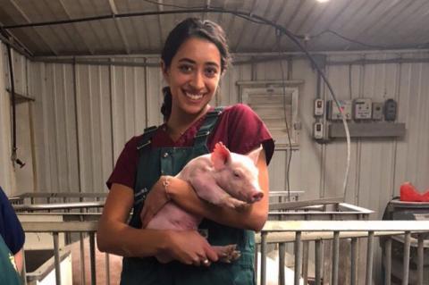 Ananya Mahalingam-Dhingra holding a piglet.
