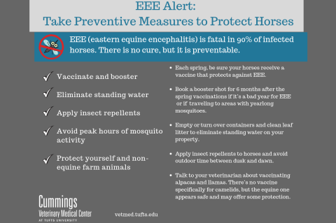 A poster listing ways to protect your horse from EEE