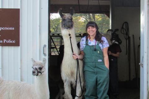 Kimberly Stein standing with an Alpaca 