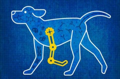 A drawing of a dog with a mechanical foreleg