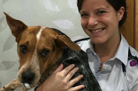 Carla Stoeffel holding a dog