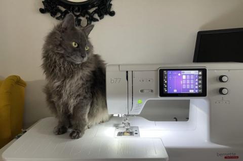a dark gray cat with gold eyes sitting next to her owners sewing machine