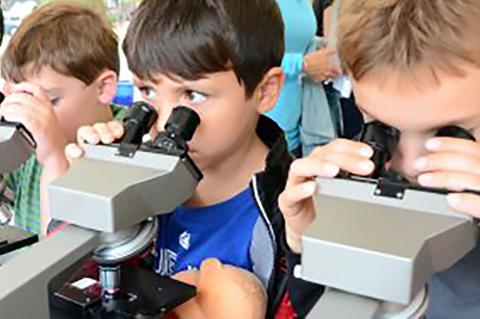 3 little boys looking through microscopes