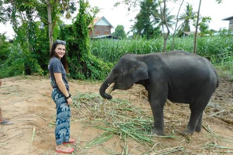 Maha Bazzi in Thailand standing in front of a baby elephant