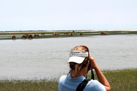 Woman standing in marshland with visor on backwards looking through binoculars.