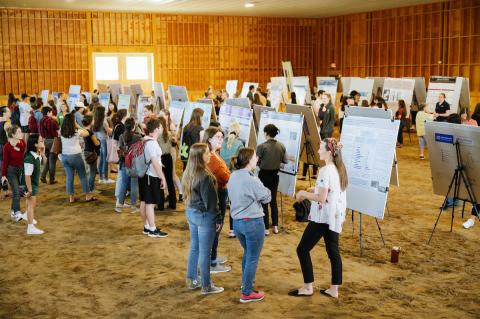 Students made their project poster presentations in the Equine Center at Veterinary Research Day.