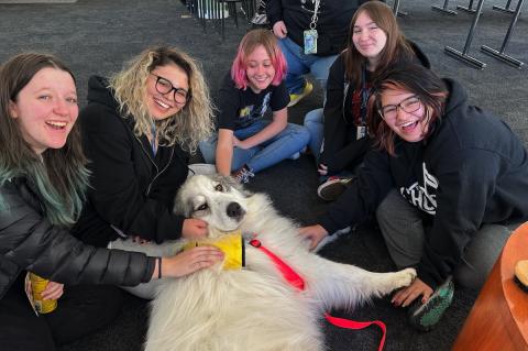 group of 5 diverse students petting a large white dog who is laying on the ground