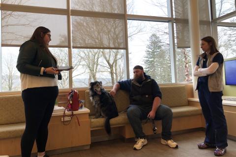 A dog sitting on a bench with her owners at Foster Hospital being checked in by a client liaison