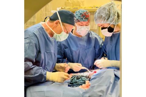 Three veterinarians, Dr. Ray Kudej, Dr. Tasha Faletti (rotating intern) and Samantha Prusak, V23 performing a ureteral diverticulum on a dog