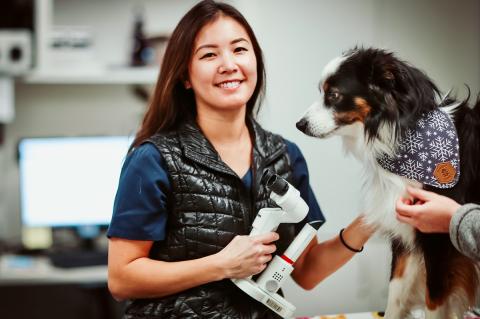 Female veterinary ophthalmologist examing a dog