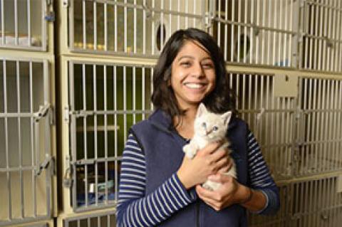 a smiling woman with dark hair down to her shoulders wearing a blue striped long sleeve shirt and blue vest is holding a white kitten.