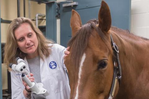 A woman with blonde hair and a white lab coat stands beside a brown horse.