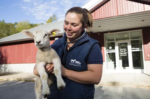 A smiling individual in a blue vest holding a lamb outside a red building in the sun.