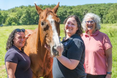 Brown horse with white down the forehead and nose stands in a sunny field with three smiling individuals. 