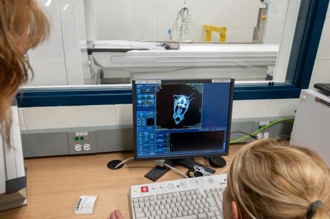 2 individuals viewing a horses head on a computer screen during a CT scan