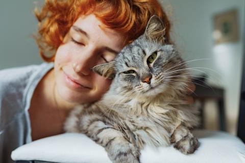 teenage girl with curly red hair, with pet, large gray striped fluffy cat, spends time together.