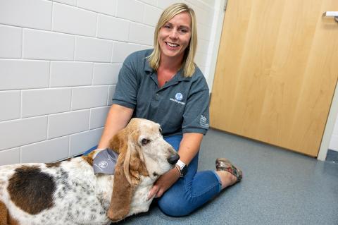 Smiling person with shoulder length blond hair sitting on the ground of an exam room floor, holding Bubba the Basset Hound in their lap.
