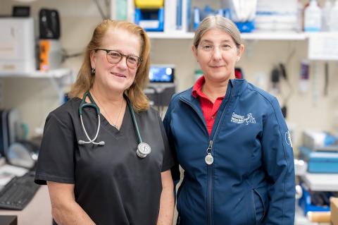 Two individuals wearing glasses and smiling are standing in a room with veterinarian equipment.