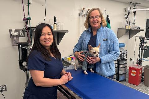 Two people standing in a clinic setting wearing blue scrubs, one is wearing glasses and is holding a small dog  who is wearing a sweater.