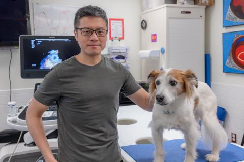 An individual with short hair and black glasses stands in an exam room with a white and brown dog.