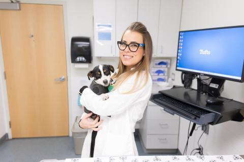 A smiling veterinarian wearing a medical white coat, black rimmed glasses is holding a small tri-colored dog in an exam room.