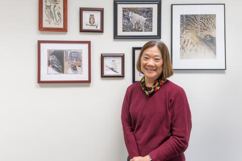 Professor Emeritus Florina Tseng.