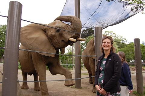 Dr. Marijorie Bercier stands next to an elephant raising it’s leg