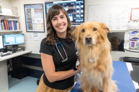 A smiling veterinarian poses with a calm, golden-colored dog during an exam in a modern veterinary clinic
