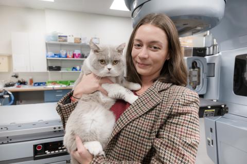 A person holding a gray-and-white cat in a clinical room with medical equipment and shelves in the background; the cat looks directly at the camera while being gently cradled.
