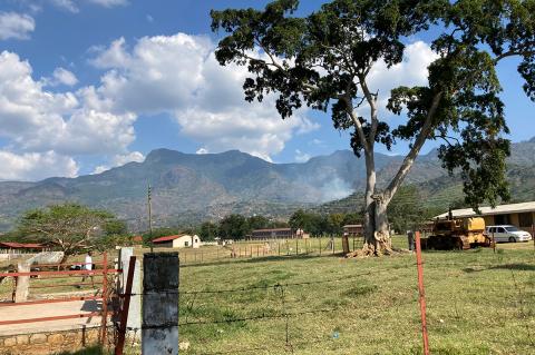 A rural landscape with a grassy field enclosed by a barbed-wire fence, a large leafy tree in the foreground, and mountains in the background under a blue sky with scattered clouds. Small buildings, a parked vehicle, and farm equipment are visible in the distance.