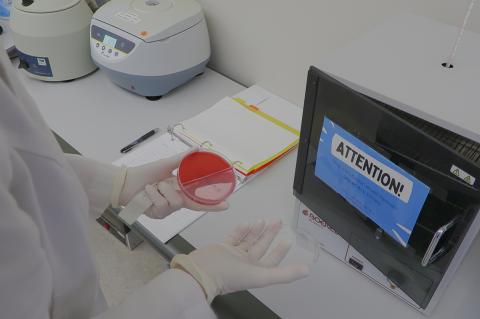 Close-up of a round, pink urine plate in clinician’s gloved hand next to an incubator.