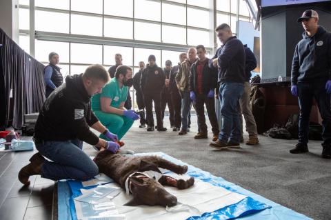 Mike Santasieri (in green scrubs), a certified veterinary technician and manager of the simulation laboratory at Cummings School of Veterinary Medicine, instructs EMS professionals using a simulation mannequin.